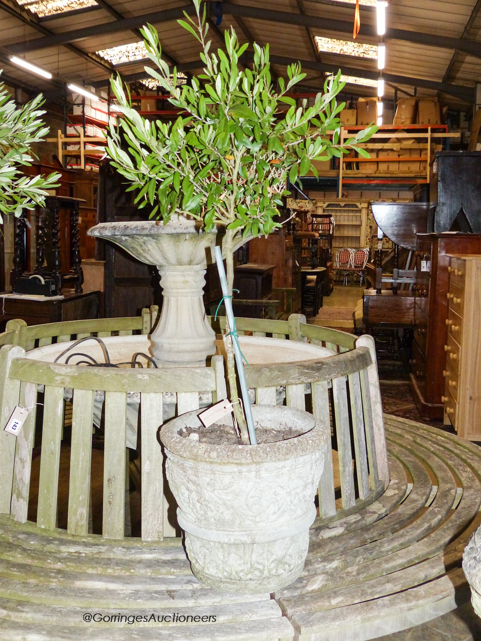 A pair of reconstituted stone tapered cylindrical planters, moulded with arabesques and containing small olive trees, diameter 36cm, height 34cm